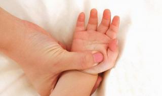 小蝌蚪不想找妈妈了